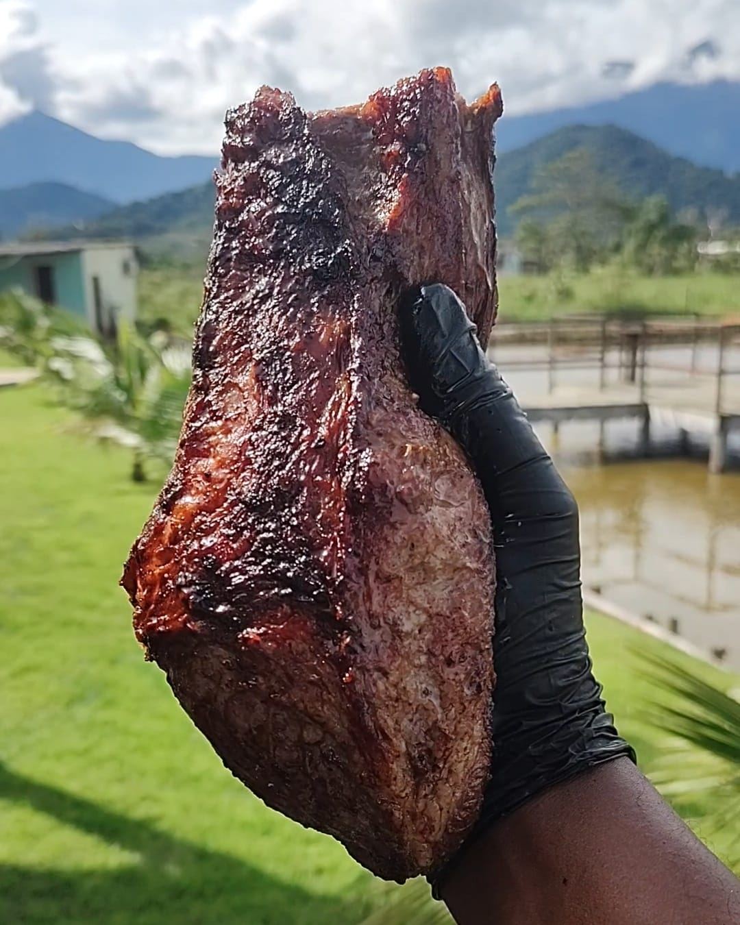 Costela bovina assada segurada com luva preta ao ar livre